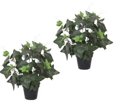 Imagen del producto de Juego de 2 plantas artificiales de hiedra verde, 50 cm