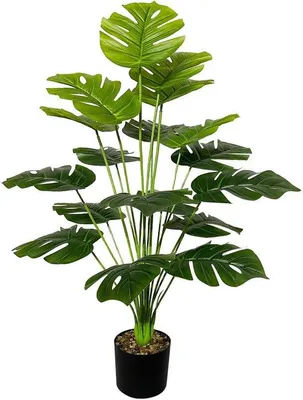 Immagine prodotto di Palma Areca artificiale in vaso, 75 cm, verde, con foglie di monstera, per interni ed esterni, soggiorno, camera da letto, ufficio, decorazione