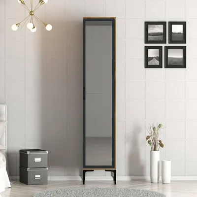 Image de Asphodèle - Armoire Multifonction 1 Porte, 40x201h cm Noyer Brun, Porte-vêtements