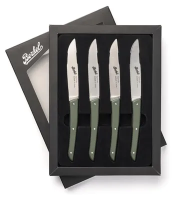 Productafbeelding van Berkel set van 4 steakmessen (groen)