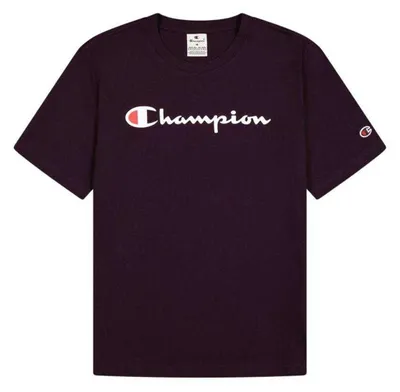 Obrázok produktu pre Champion - Pánske tričko PP10184 (L) (fialové)