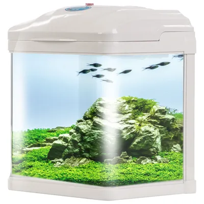 Zdjęcie produktu dla Sunsun Pika-Pika AquaKids - akwarium 3l białe