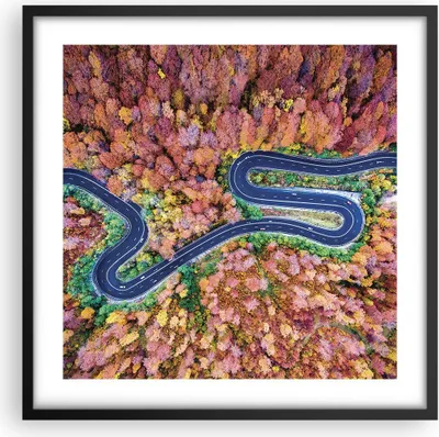 Produktbild von Gerahmtes Poster - Schwarzer Rahmen - Kurvenreich Weg Wald - 50x50 cm - Wand Bild - Wanddeko - Wandbilder - Kunstposter - Wandposter - Bilderrahmen - Bilder - Kunstdruck - Wandbild - P2BAC50x50-4291