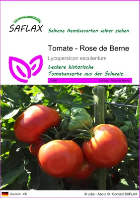 Produktbild von SAFLAX - Tomate - Rose de Berne - 10 Samen - Lycopersicon esculentum