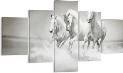 Produktbild von Bild auf Leinwand - Leinwandbild - Bauernhof pferde galopp freiheit - 125x70cm - Wand Bild - Wanddeko - Leinwanddruck - Bilder - Kunstdruck - Leinwand bilder - Wandkunst - EA125x70-2389
