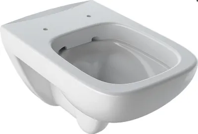 Image de Geberit, WC suspendu à chasse d'eau basse Renova Plan sans rinçage, saillie 540mm, blanc