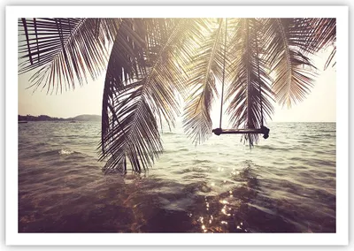 Produktbild von Poster - Poster ohne Rahmen - Meer Palme Wasser - 100x70 cm - Wand Bild - Wanddeko - Wandbilder - Kunstposter - Wandposter - Bilder - Kunstdruck - Wanddekoration - Wandbild - P2XAA100x70-3634