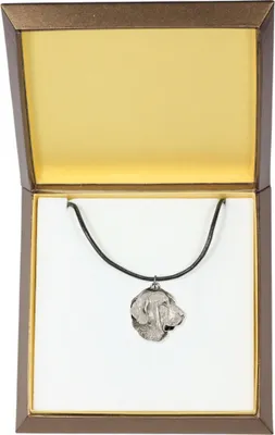 Immagine prodotto di Mastino spagnolo - Collana per cani in confezione regalo, medaglione argentato per gli amanti dei cani, ciondolo distintivo del marchio Art-Dog