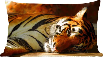 Produktbild von MuchoWow® Zierkissen Sofakissen Wohnzimmer Dekokissen 50x30 cm Tiger - Tiere - Ruhe - Wohnzimmerdekoration - Polster mit Photo