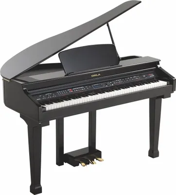 Immagine prodotto di Pianoforte a coda digitale Orla Grand 120 nero