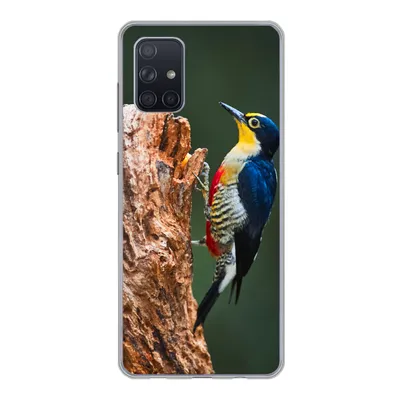 Produktbild von MuchoWow® Handyhülle Schutzhülle Hülle für Samsung Galaxy A51 Nahaufnahme eines bunten Vogels auf der Seite eines Baumstamms Silikon Softcase Handy Hülle - Schutzabdeckung