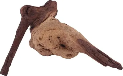 Produktbild von L Mopani Wurzel Nr.1236 Holz Deko Aquascaping