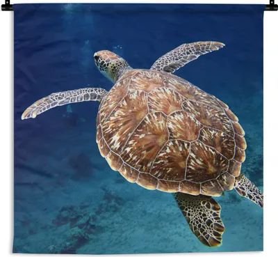 Produktbild von MuchoWow® Wandteppich Wandbehang Schildkröte Fotodruck 60x60 cm Tapisserie Dekoration Wandtuch - Dekorationen - Wand Decke
