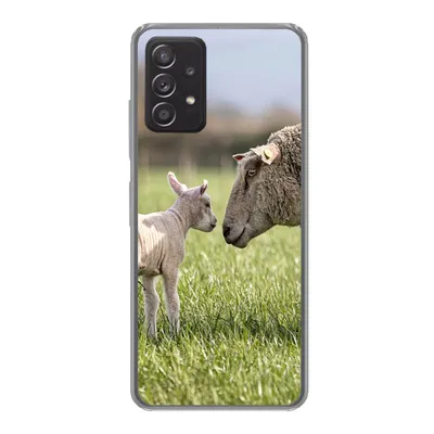 Produktbild von MuchoWow® Handyhülle Schutzhülle Hülle für Samsung Galaxy A53 5G Schafe - Gras - Lamm Silikon Softcase Handy Hülle - Schutzabdeckung