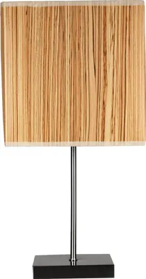 Image de Candellux Lampe de table CAJMAN 41-57405 argenté
