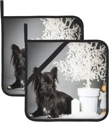 Produktbild von Topflappen, isolierter Topflappen, dick, hitzebeständig, zum Grillen, Kochen, Backen, 2 Stück,Chihuahua Schwarze Hunde Welpen Hunde Schwarz