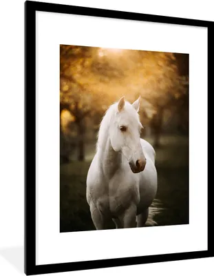 Produktbild von MuchoWow® Gerahmtes Poster Pferd - Sonne - Herbst - Tiere - Natur 60x80 cm - Poster mit Schwarzem Bilderrahmen Wandposter Rahmen Foto Bilder - Wohnzimmer - Dekorationen - Prämie