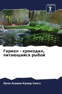 Produktbild von Garial - krokodil, pitaüschijsq ryboj