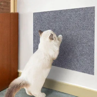 Image de Tapis à griffer autocollant pour chats, 200 x 40 cm, protection pour canapés