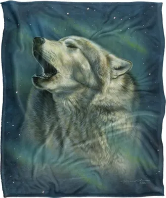 Image de Aurora - Heulender Wolf Decke, Seidig, Supersoft TV25455 (152 cm x 127 cm) (Bunt/Bunt)