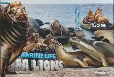 Produktbild von Briefmarken Sierra Leone 2016 Mi Block 949 (kompl. Ausg.) postfrisch Seelöwen