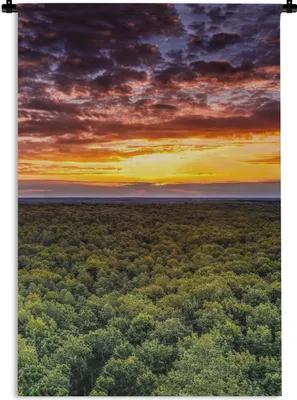 Produktbild von MuchoWow® Wandteppich Wandbehang Wald - Nacht - Himmel - Horizont - Bäume 120x180 cm Tapisserie Dekoration Wandtuch - Schlafzimmer - Dekorationen für das Haus