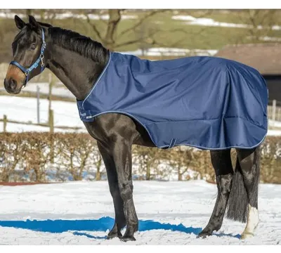 Immagine prodotto di Bucas Walker 50g - Navy/Argento - Tappeto da equitazione