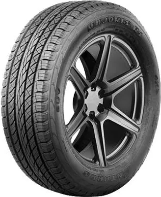 Immagine prodotto di 225/55R18 98V Majoris R1