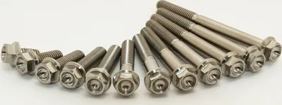 Image de SCAR Engine Screw Kit Titanium 42 Screws