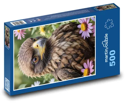 Obrázek produktu pro martinpuzzle - Puzzle 500 - Orel