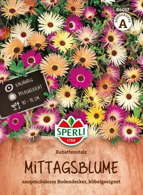 Produktbild von SPERLI Mittagsblumensamen Rabattenstolz Dorotheanthus bellidiformis 150 Pflanzen
