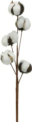 Produktbild von Baumwollzweig Deko Echte Baumwolle Dekozweig 5 Köpfe 50cm für Advent, Kranz, Vase, Trockenblumen, Dekoration