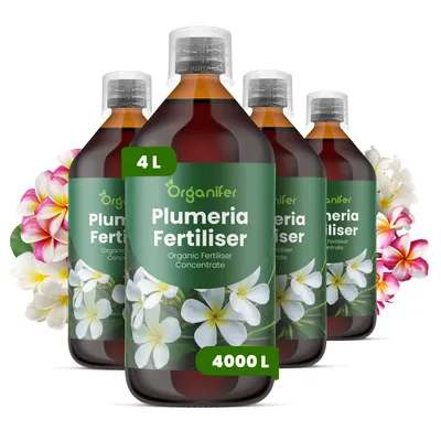 Obrázok produktu pre Frangipani, tekuté hnojivo, 4 x 1 liter – vzorec NPK 3-4-3 – vhodné pre rastliny Plumeria – podporuje silný rast a stabilný vývoj kvetov – organické hnojivo