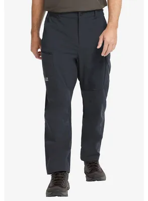 Obrázok produktu pre Pánske turistické nohavice Jack Wolfskin Ridge Hike, veľkosť M, 50
