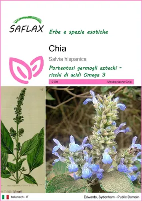Immagine prodotto di SAFLAX - Chia - 500 semi - Salvia