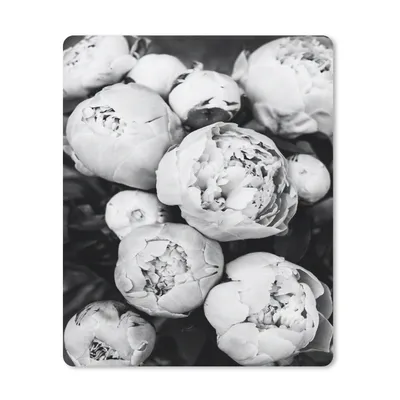 Produktbild von MuchoWow® Mauspad Mousepad Blumen - Weiß - Natur - Schwarz und Weiß 30x40 cm - Mousepads - Maus Mat - Pad - Mausunterlage - Mausmatten