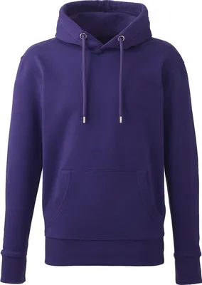 Produktbild von Anthem - Kapuzenpullover, aus biologischem Anbau für Herren PC4317 (L) (Pink)