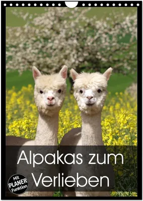 Produktbild von Alpakas zum Verlieben (Wandkalender 2026 DIN A4 hoch), CALVENDO Monatskalender