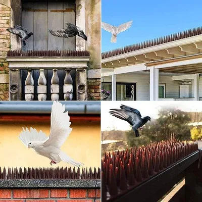 Image de Piquets anti-oiseaux de 5,1 m pour balcons et toits