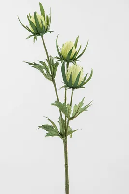 Produktbild von Fink DISTEL, Kunstblume, Kunstfasern, creme, H. 44 cm 185094