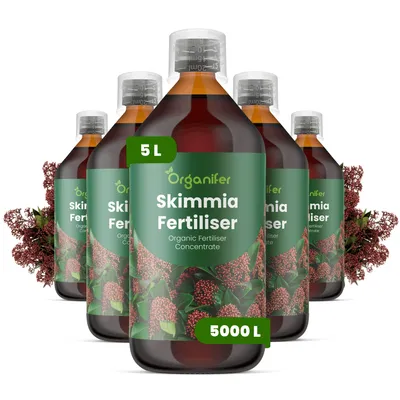 Produktbild von Skimmien Flüssigdünger 5x1L – 3-4-3 NPK – Flüssig-Pflanzendünger für Skimmien – Organifer