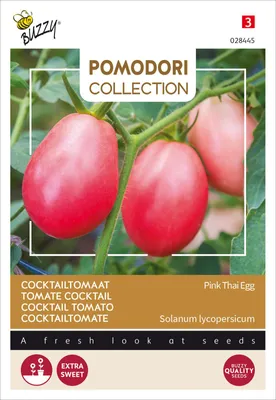 Produktbild von Buzzy Pomodori Tomate Pink Thai Egg Samen - Ca. 1,5 gr | Buzzy_028445