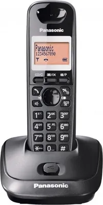 Image de Panasonic KX-TG2511FX téléphone Téléphone DECT Identification de l'appelant Noir