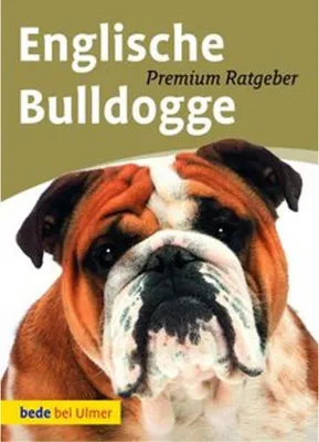 Obrázok produktu pre Englische Bulldogge
