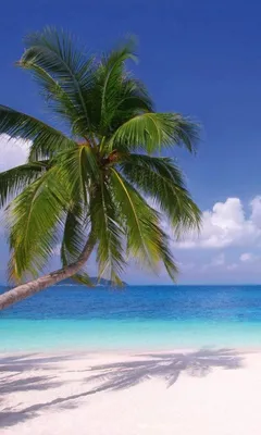 Produktbild von Fototapete - Beach 150x250cm - Vliestapete