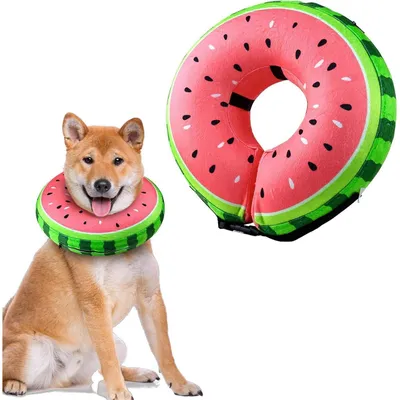 Produktbild von Aufblasbare Halskrause Hund & Katze M+ [Hals: 29-35cm] Leckschutz nach Operationen