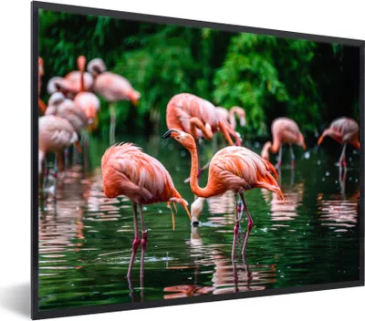 Produktbild von MuchoWow® Gerahmtes Poster Flamingo - Tropisch - Vogel - Wasser - Rosa 40x30 cm - Poster mit Schwarzem Bilderrahmen Wandposter Rahmen Foto Bilder - Kunstposter - Wanddekorationen