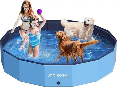 Immagine prodotto di Piscina gonfiabile per cani, grande e portatile