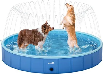 Produktbild von Famanu Hundepool mit Sprühfunktion - tragbare Kinderpool - 200 x 30 cm