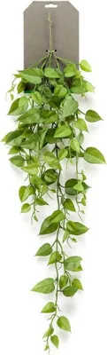 Produktbild von Warentuin Producten